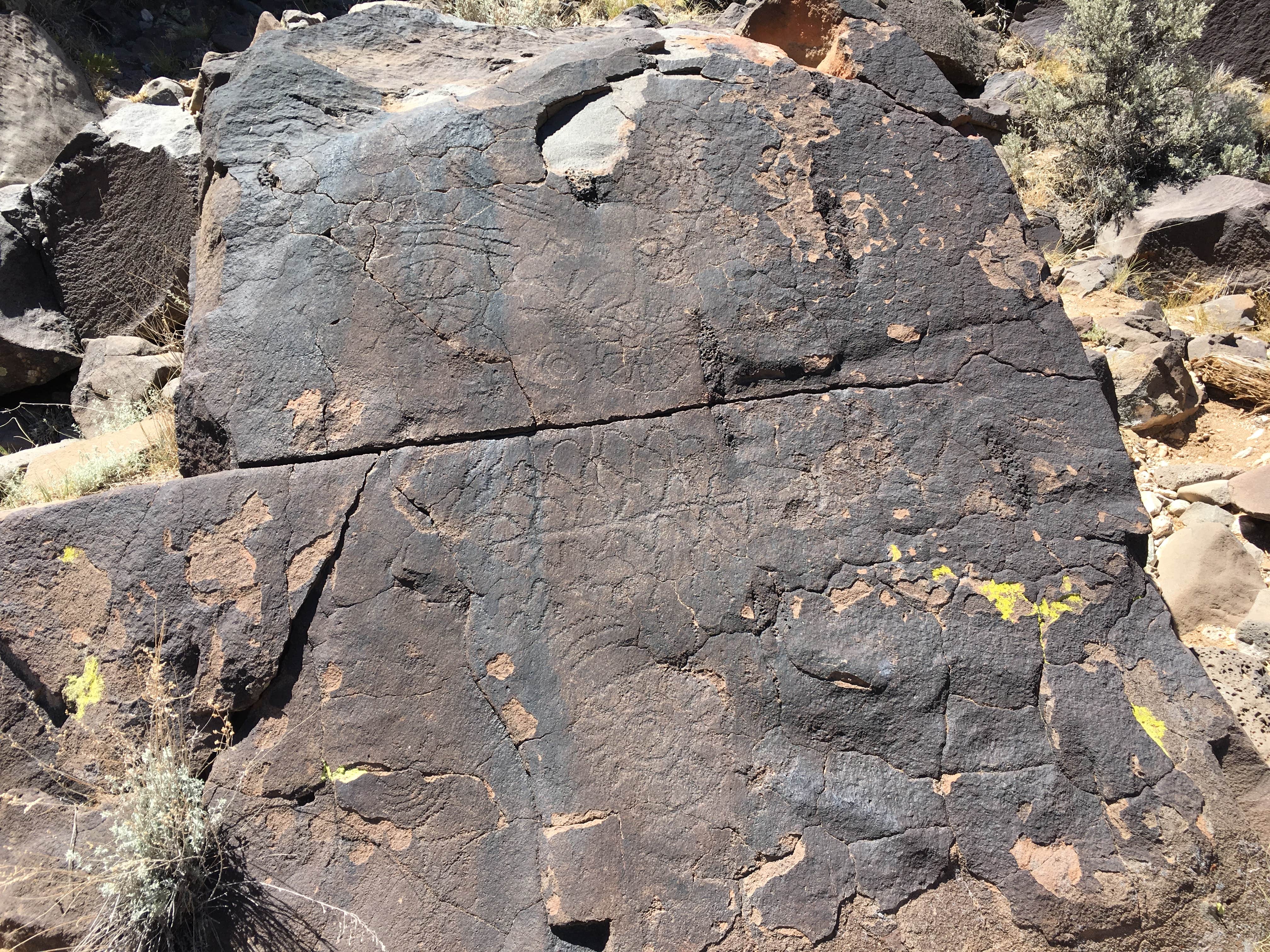 Camper-submitted photo at BLM Orilla Verde Recreation Area near Embudo, NM