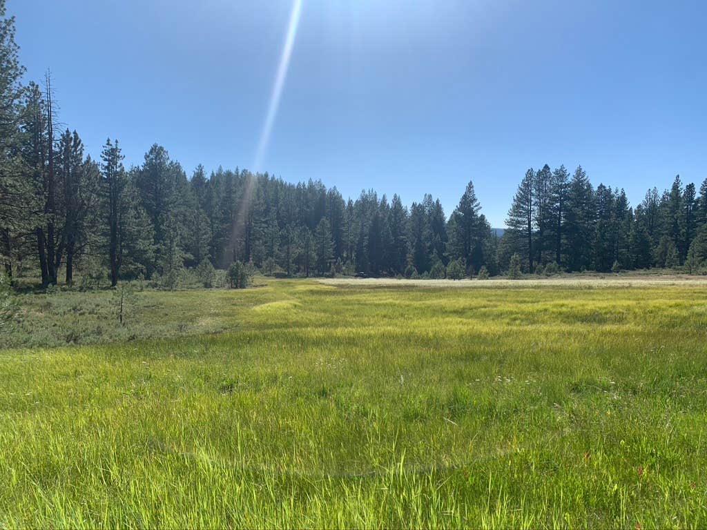 Camper submitted image from Tahoe National Forest Boca Spring Campground - 3