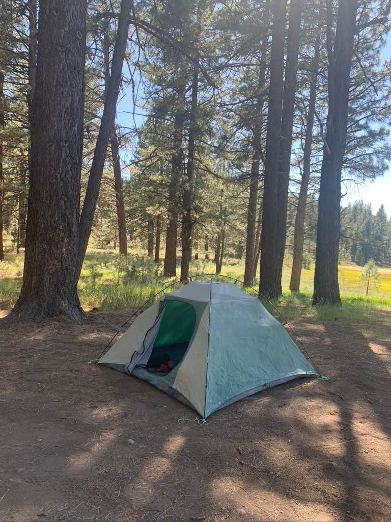 Camper submitted image from Tahoe National Forest Boca Spring Campground - 5