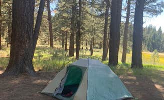 John S.'s photo at Tahoe National Forest Boca Spring Campground near Sun Valley, NV