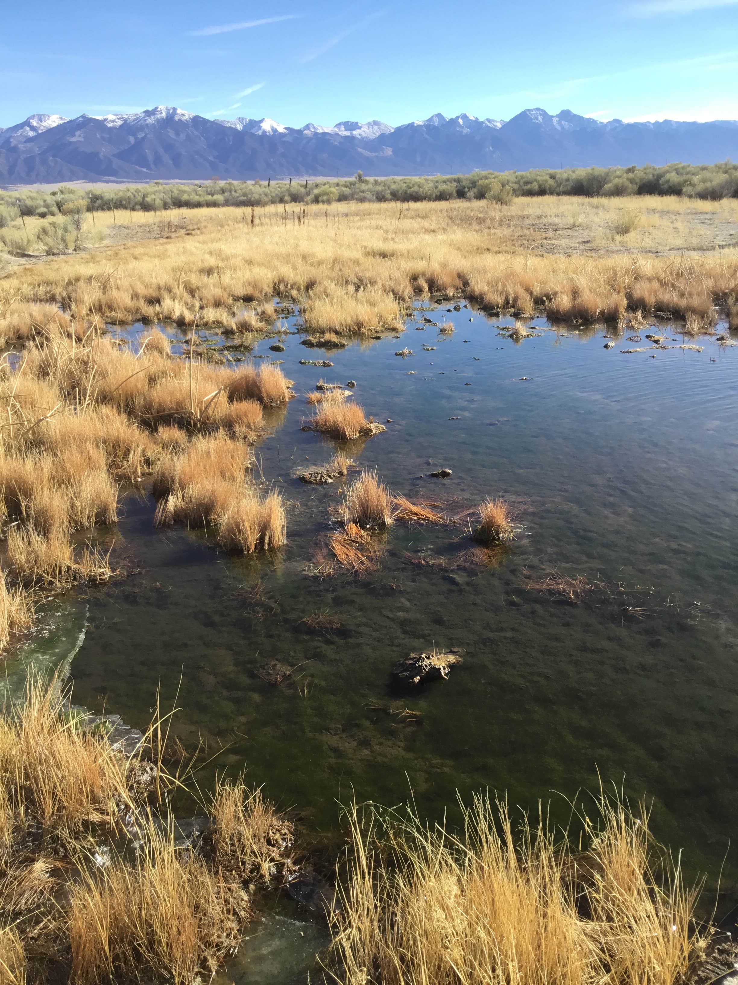 Camper submitted image from Colorado Sports Ranch and Refuge - 1