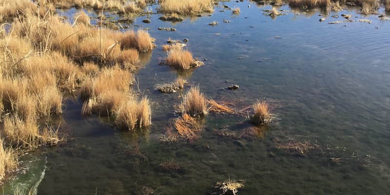 Camper submitted image from Colorado Sports Ranch and Refuge