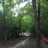 Review photo of Twin Lakes at Lake Hartwell by Mariah M., July 17, 2020