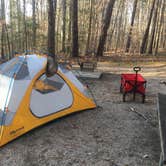 Review photo of Shinleaf — Falls Lake State Recreation Area by Chip G., February 25, 2018
