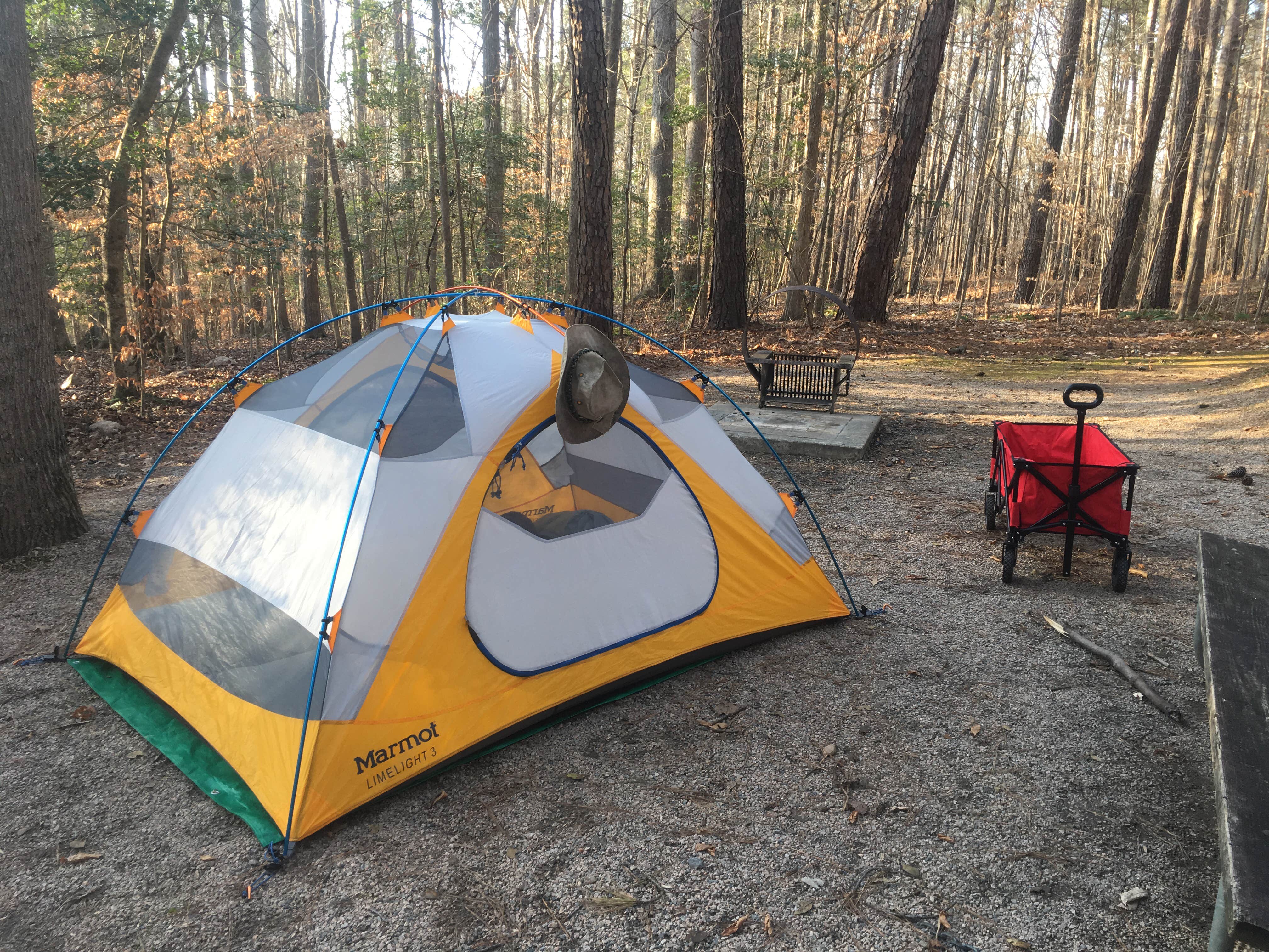 Camper submitted image from Shinleaf — Falls Lake State Recreation Area - 4