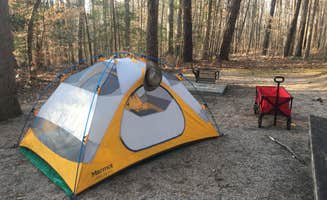 Chip G.'s photo at Shinleaf — Falls Lake State Recreation Area near Wake Forest, NC