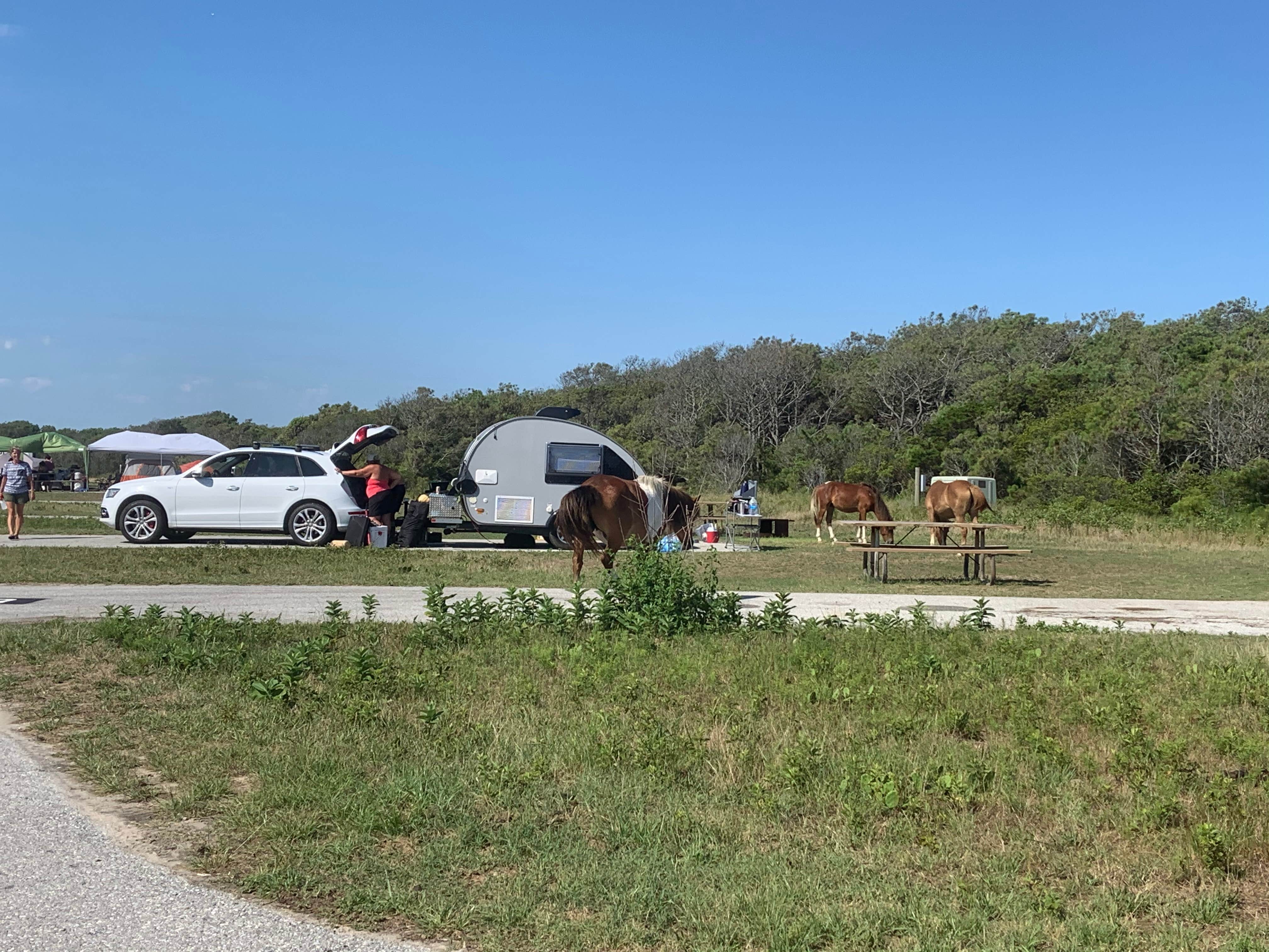 Rachel W.'s photo at Bayside Assateague Campground — Assateague Island National Seashore near Bloxom, VA