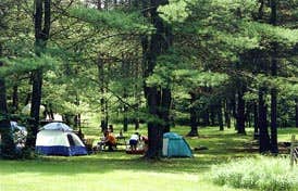 Mariah M.'s photo at Pine Crest Cabins near Falls Creek, PA
