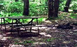 Camper-submitted photo at Pine Crest Cabins near Cooksburg, PA