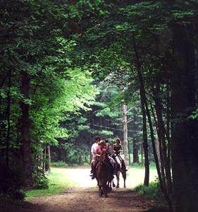 Camping near Hominy Ridge Cabins and Gift Shop: Pine Crest Cabins, Cooksburg, Pennsylvania