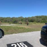 Review photo of Bayside Assateague Campground — Assateague Island National Seashore by Rachel W., July 17, 2020