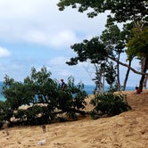 Review photo of Warren Dunes State Park Campground by shawn M., July 17, 2020