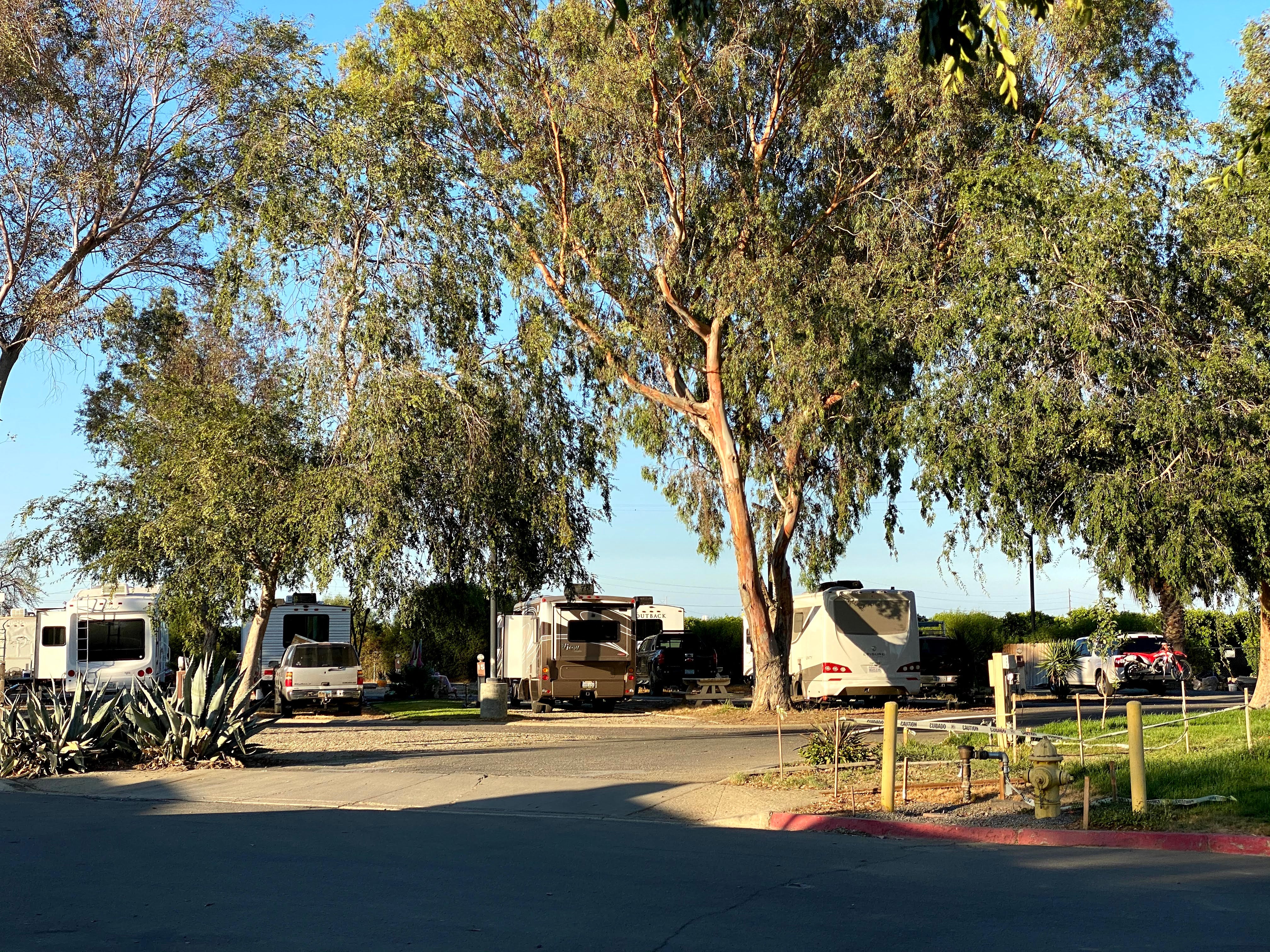 Camper submitted image from Almond Tree Oasis RV Park - 3
