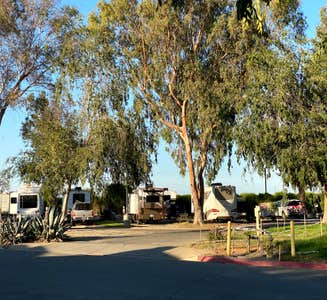 Camper-submitted photo from Almond Tree Oasis RV Park