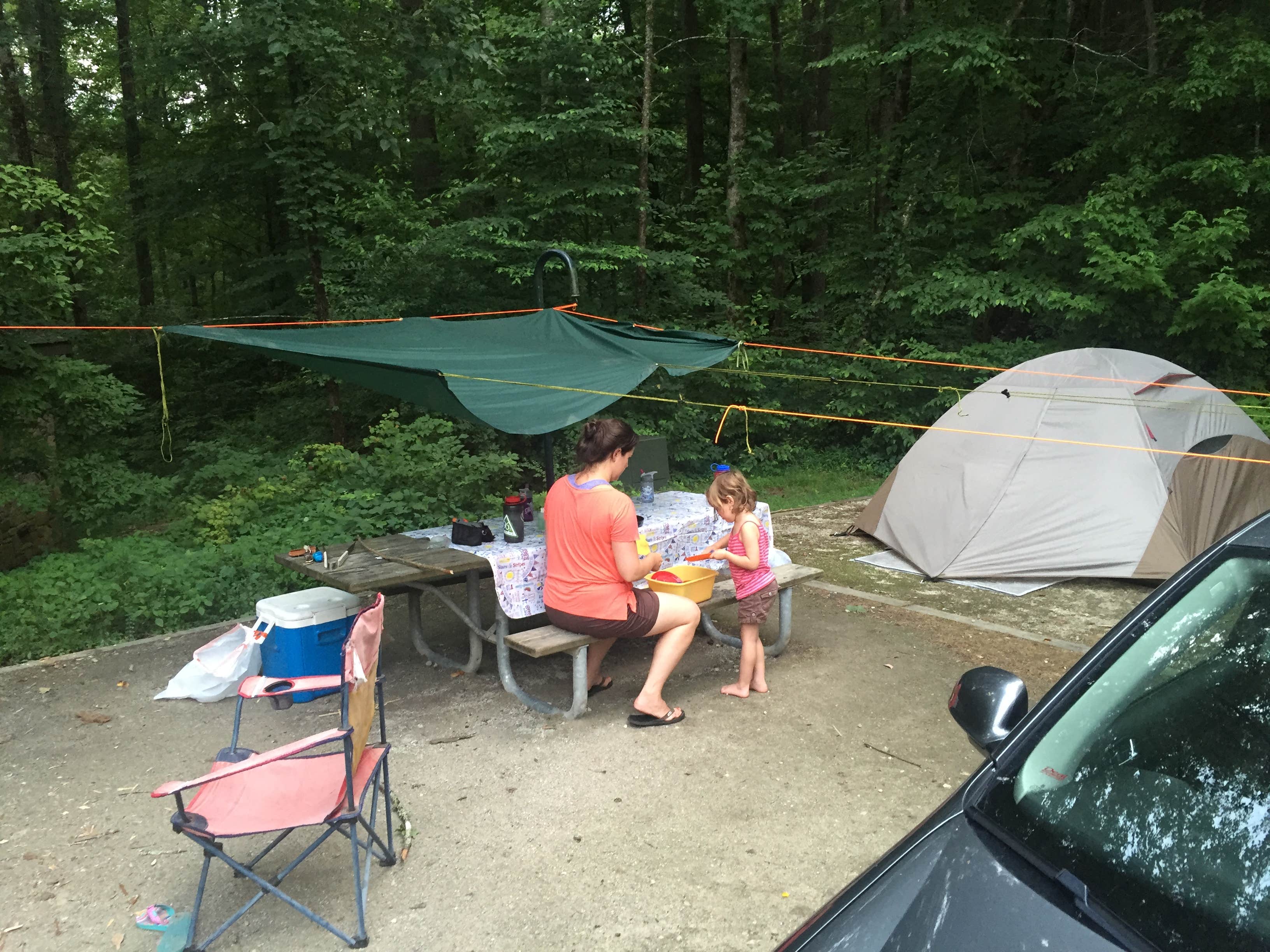 Andra S.'s photo at Curtis Creek Campground near Marion, NC