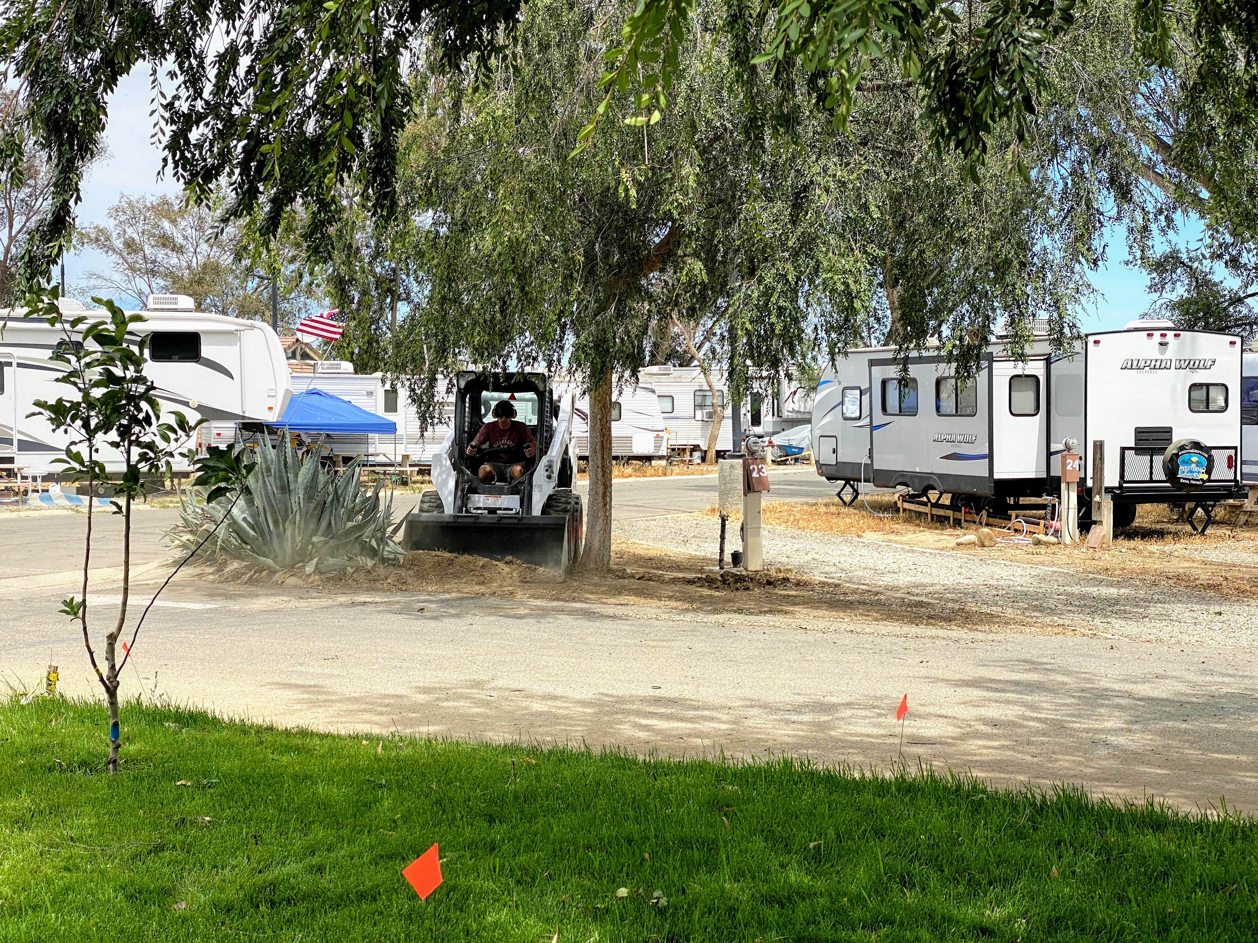Camper-submitted photo at Almond Tree Oasis RV Park near Biola, CA