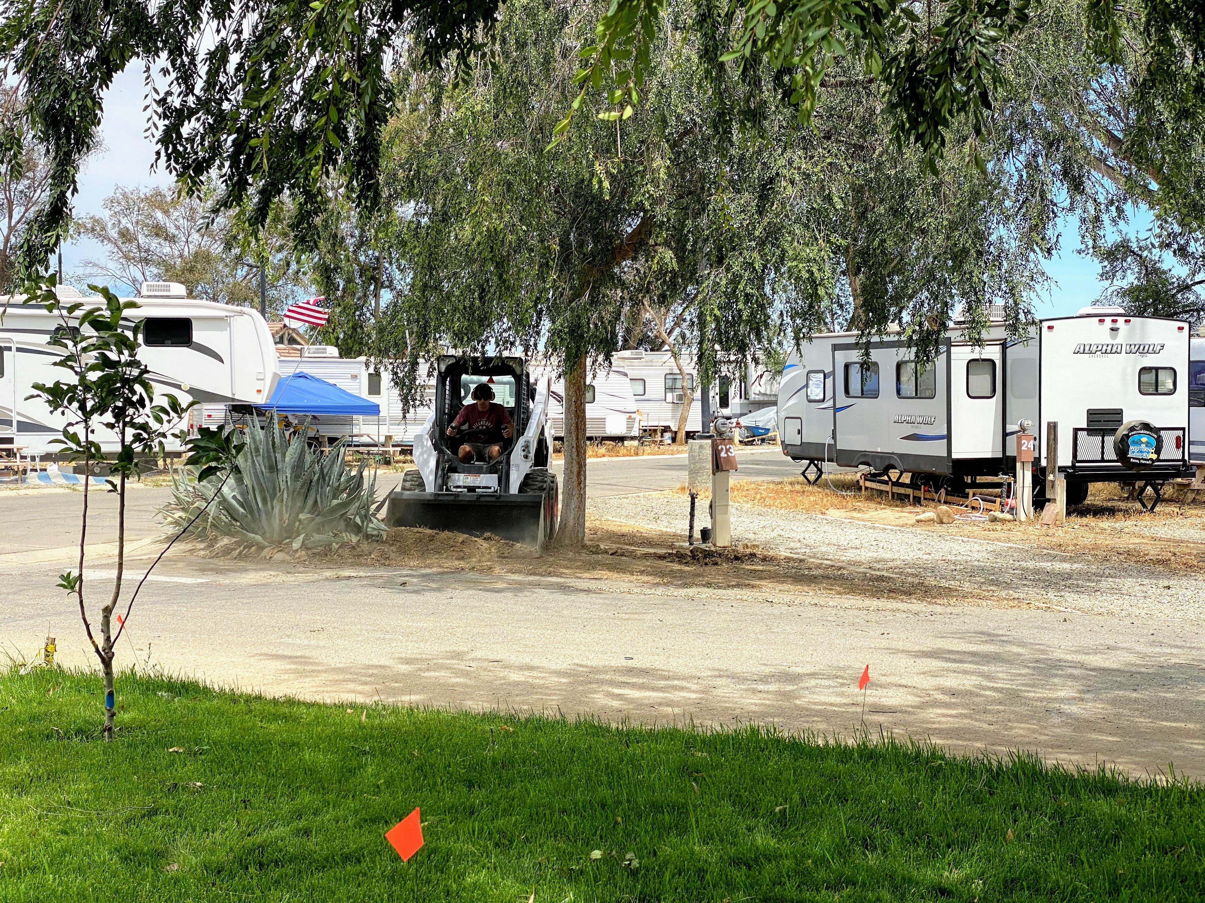 Camper submitted image from Almond Tree Oasis RV Park - 1