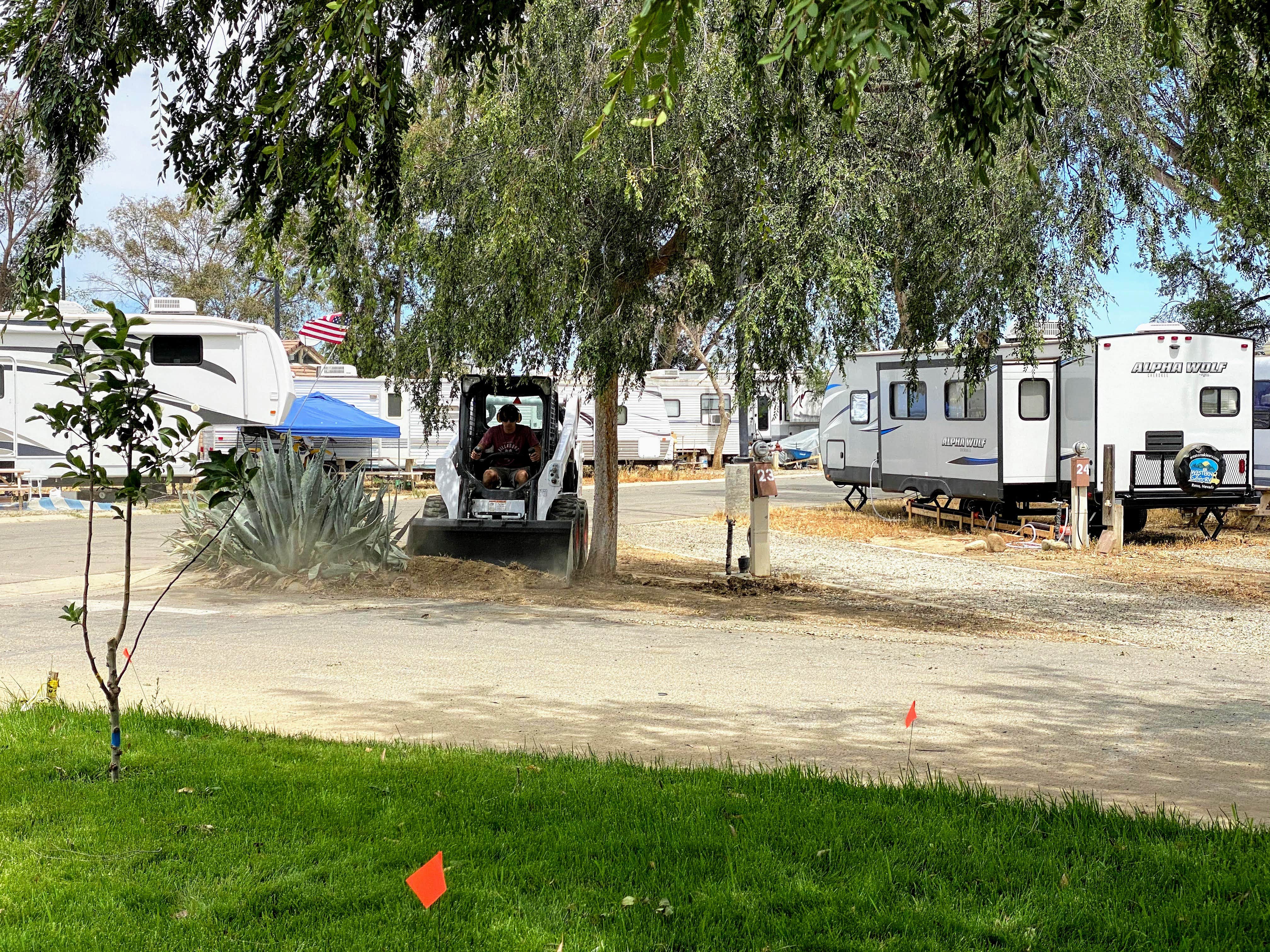 Camper submitted image from Almond Tree Oasis RV Park - 1