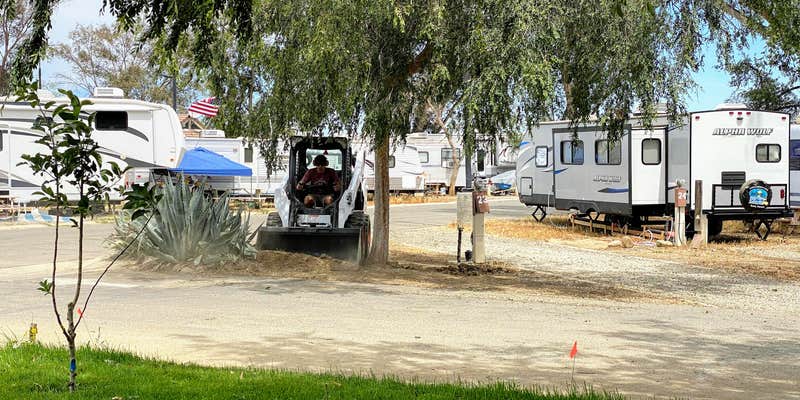Camper submitted image from Almond Tree Oasis RV Park