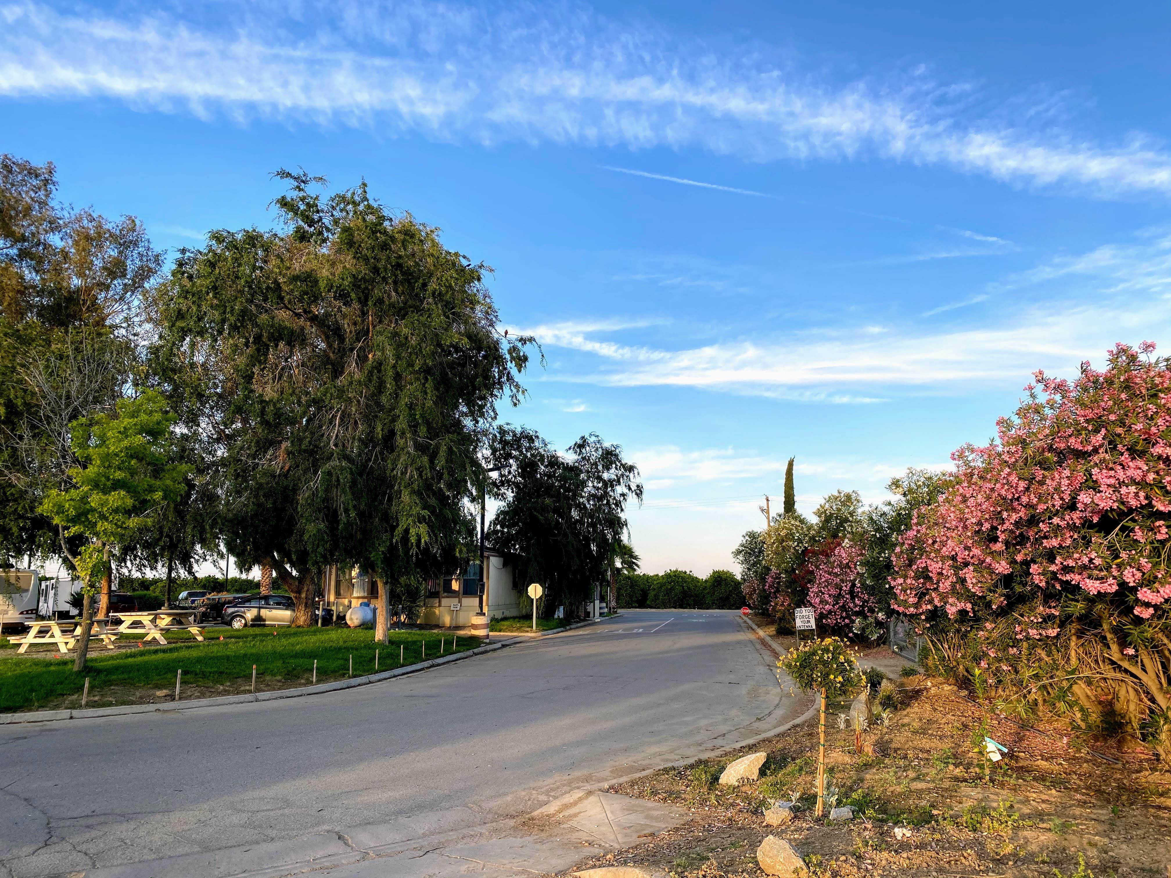 Camper-submitted photo at Almond Tree Oasis RV Park near Biola, CA