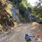 Review photo of Arroyo Seco by Jane P., July 17, 2020
