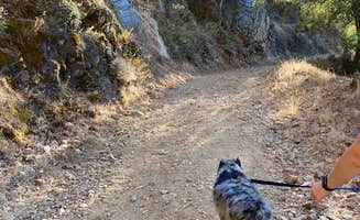 Jane P.'s photo of camping with pets at Los Padres National Forest Arroyo Seco Campground near Lucia, CA