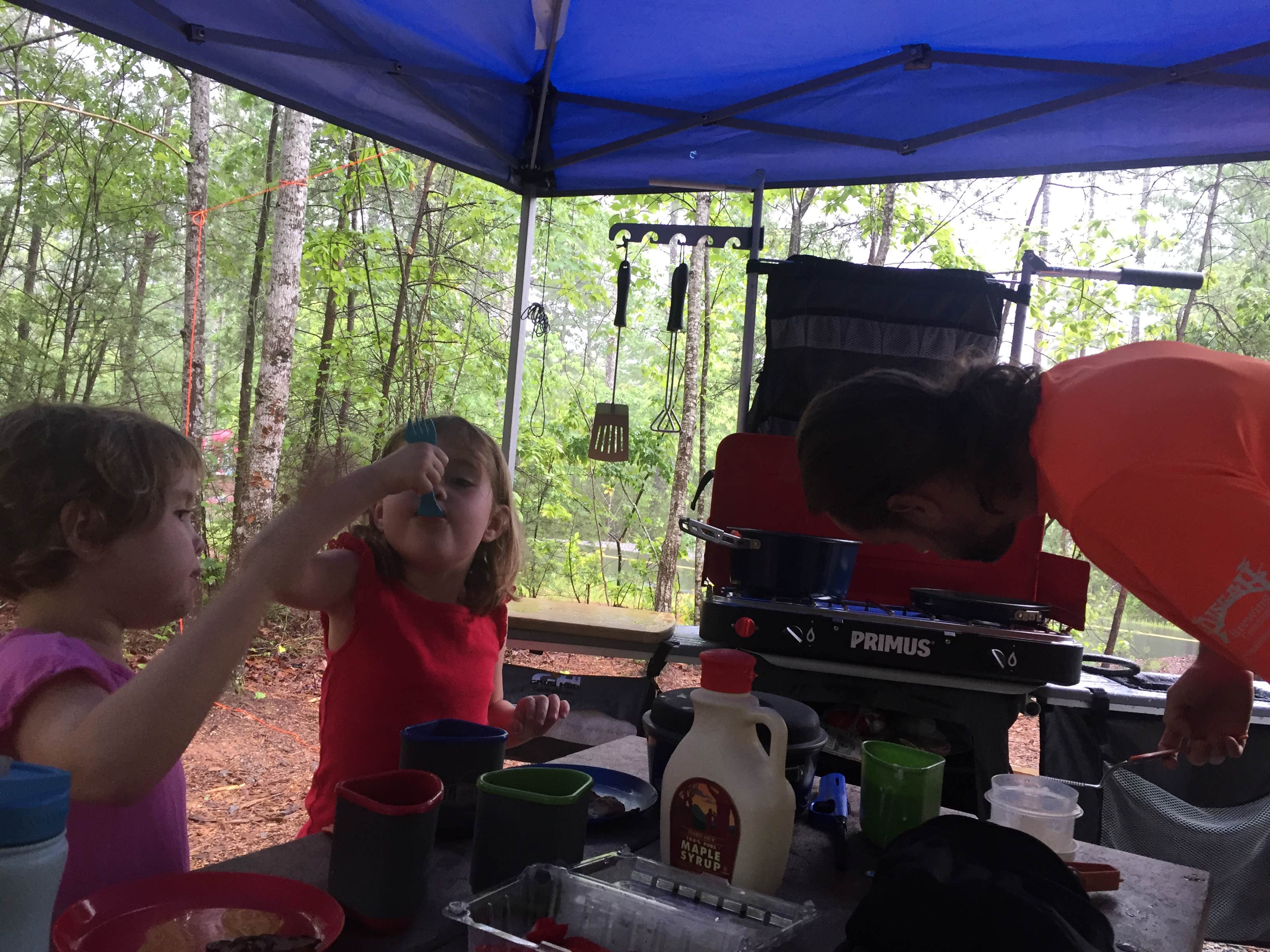 Camping near Long Arm Boat-in Campground 1 — Lake James State Park: Paddy's Creek — Lake James State Park, Linville, North Carolina