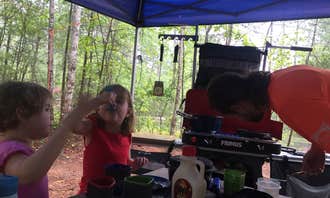 Camping near Optimistic RV Resort: Paddy's Creek — Lake James State Park, Linville, North Carolina