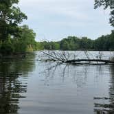 Review photo of Walnut Point State Park Campground by Merry L., July 17, 2020