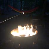 Review photo of Elkmont Campground — Great Smoky Mountains National Park by Merry L., July 17, 2020