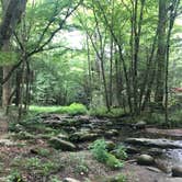 Review photo of Elkmont Campground — Great Smoky Mountains National Park by Merry L., July 17, 2020