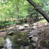 Review photo of Elkmont Campground — Great Smoky Mountains National Park by Merry L., July 17, 2020