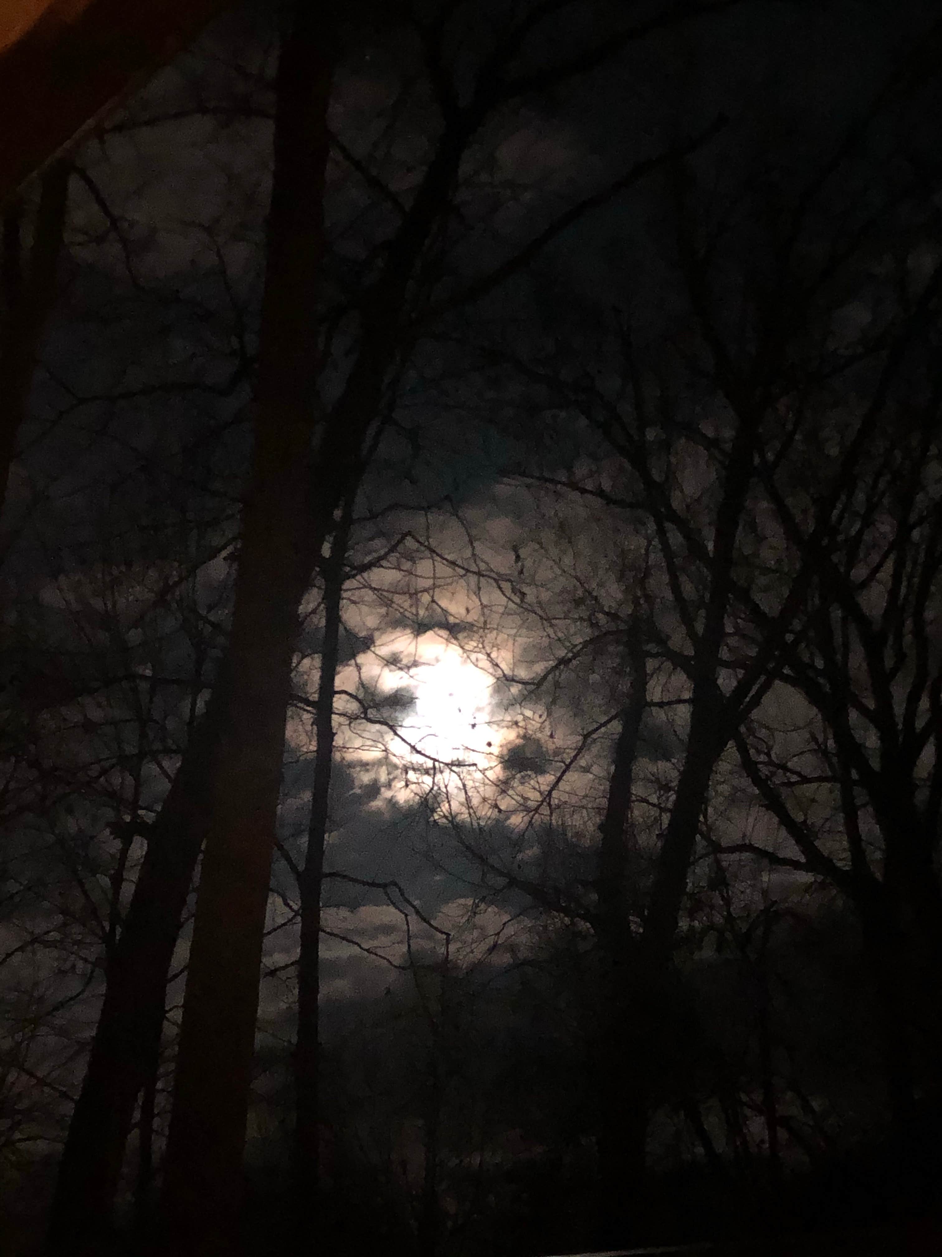 Camper-submitted photo at Backpack Campground — Ferne Clyffe State Park near Herod, IL