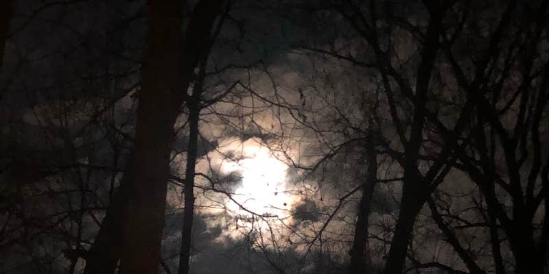 Camper submitted image from Backpack Campground — Ferne Clyffe State Park