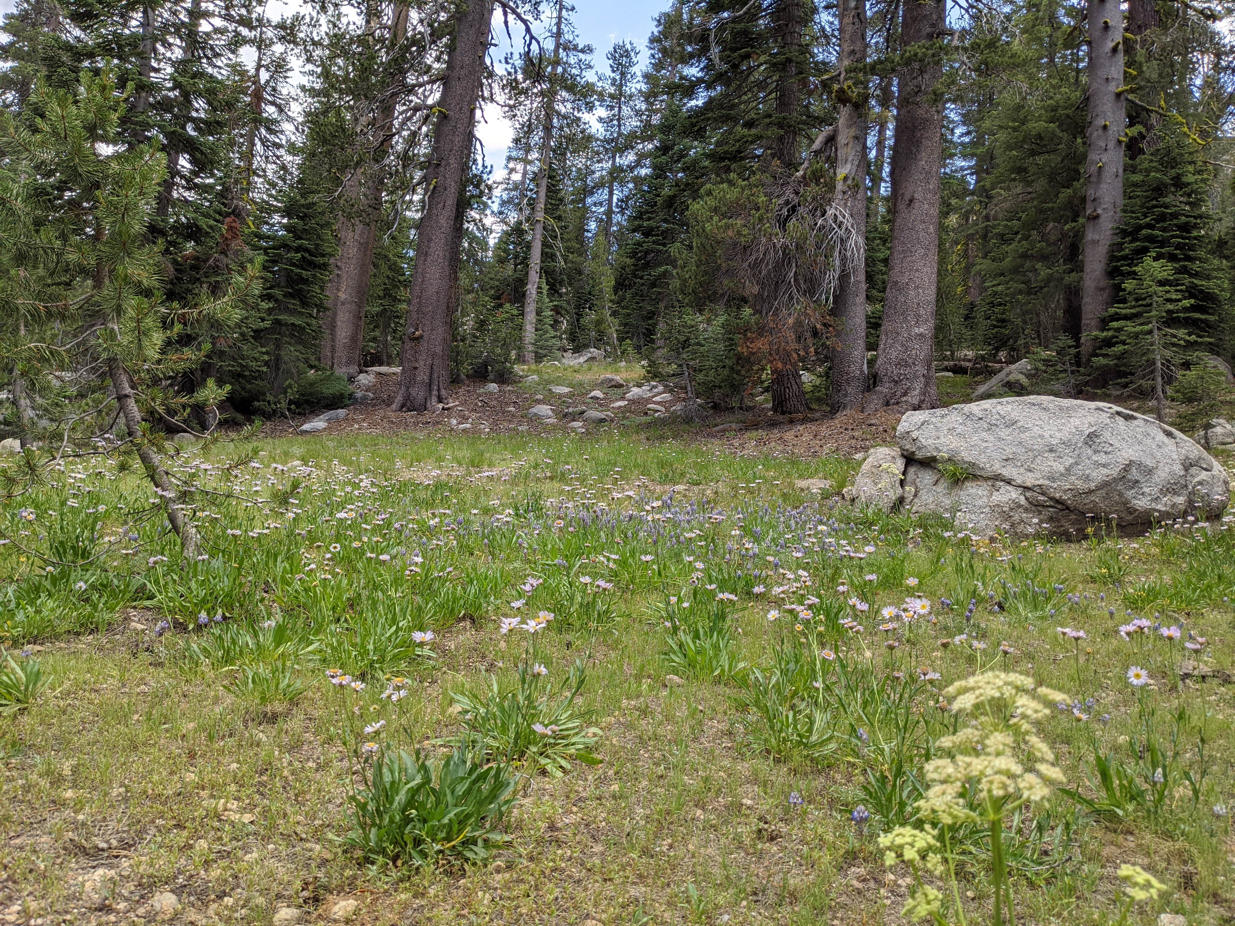 Camper-submitted photo at Pacific Valley Campground near Coleville, CA