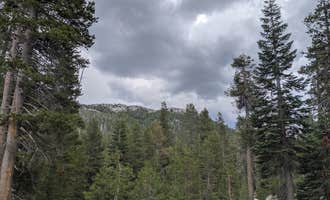 Camping near Pine Marten Campground: Pacific Valley Campground, Bear Valley, California