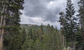 Camping near Mosquito Lakes Campground: Pacific Valley Campground, Bear Valley, California
