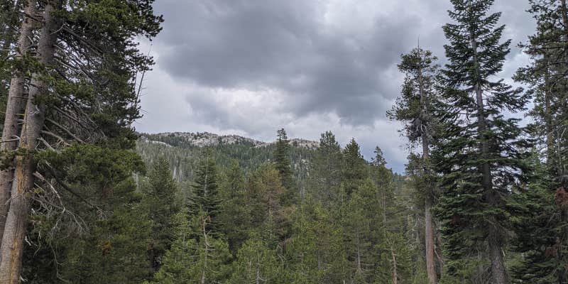 Camper submitted image from Pacific Valley Campground