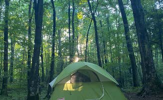 Shelagh R.'s photo at Copper Falls State Park Campground near Ironwood, MI