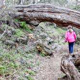 Review photo of Pedernales Falls State Park Campground by Trevor B., July 18, 2020