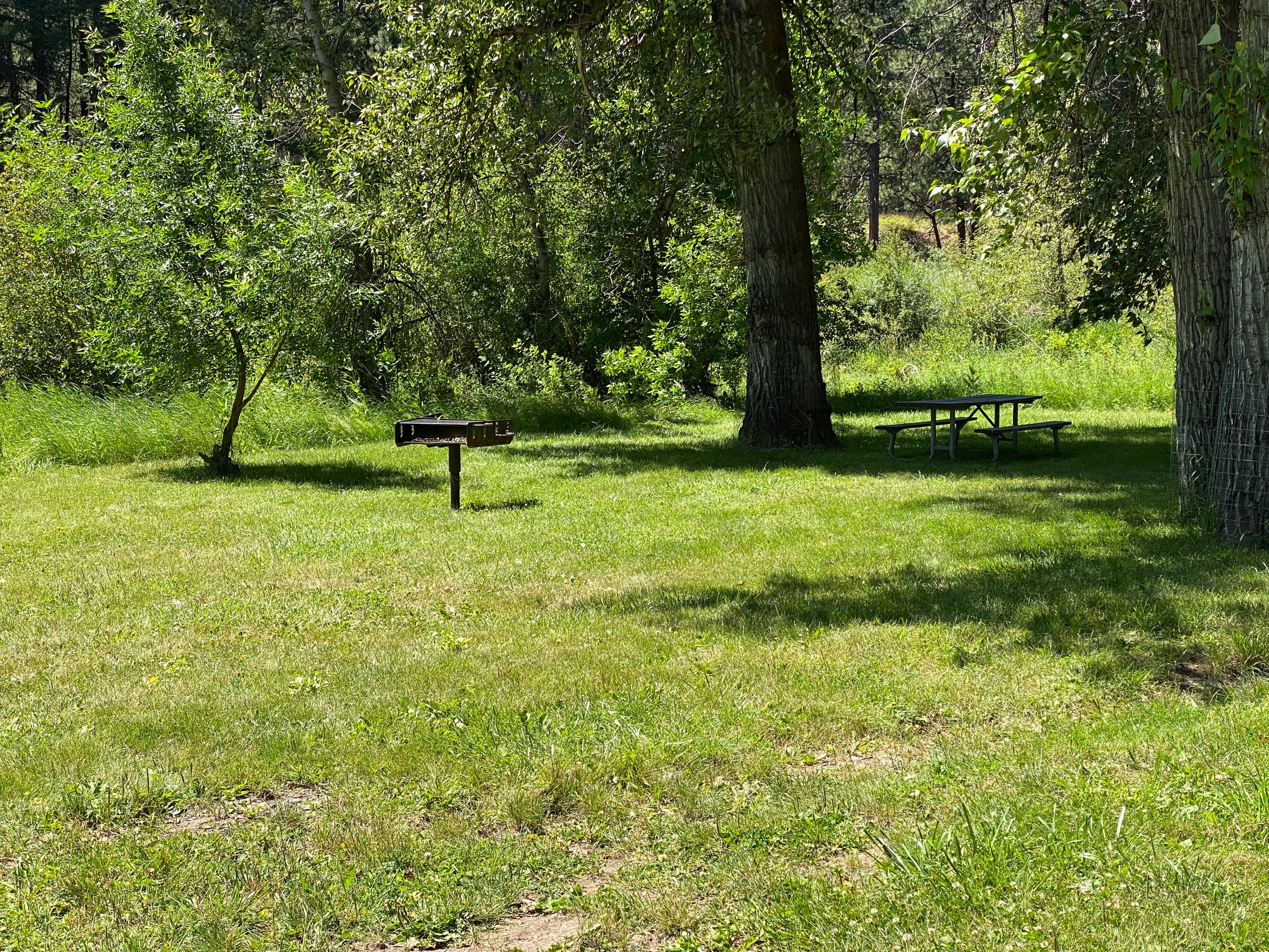 Camper submitted image from Hilgard Junction State Park Campground - 4