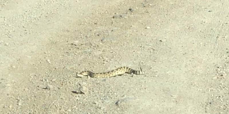 Camper submitted image from Onion Valley Reservoir