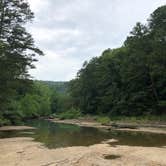 Review photo of Haw Creek Falls Camping by David S., July 18, 2020