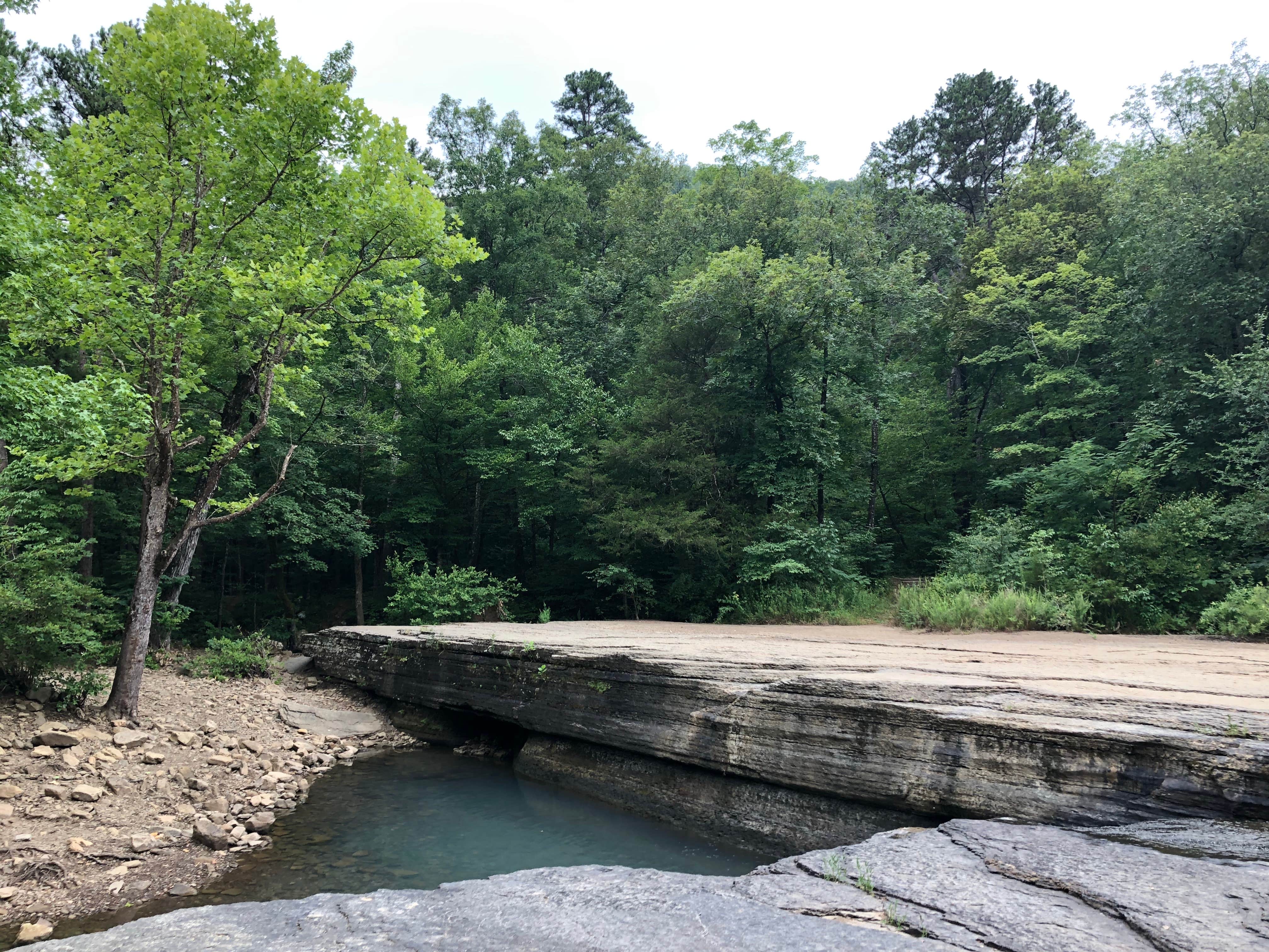 Camper submitted image from Haw Creek Falls Camping - 1