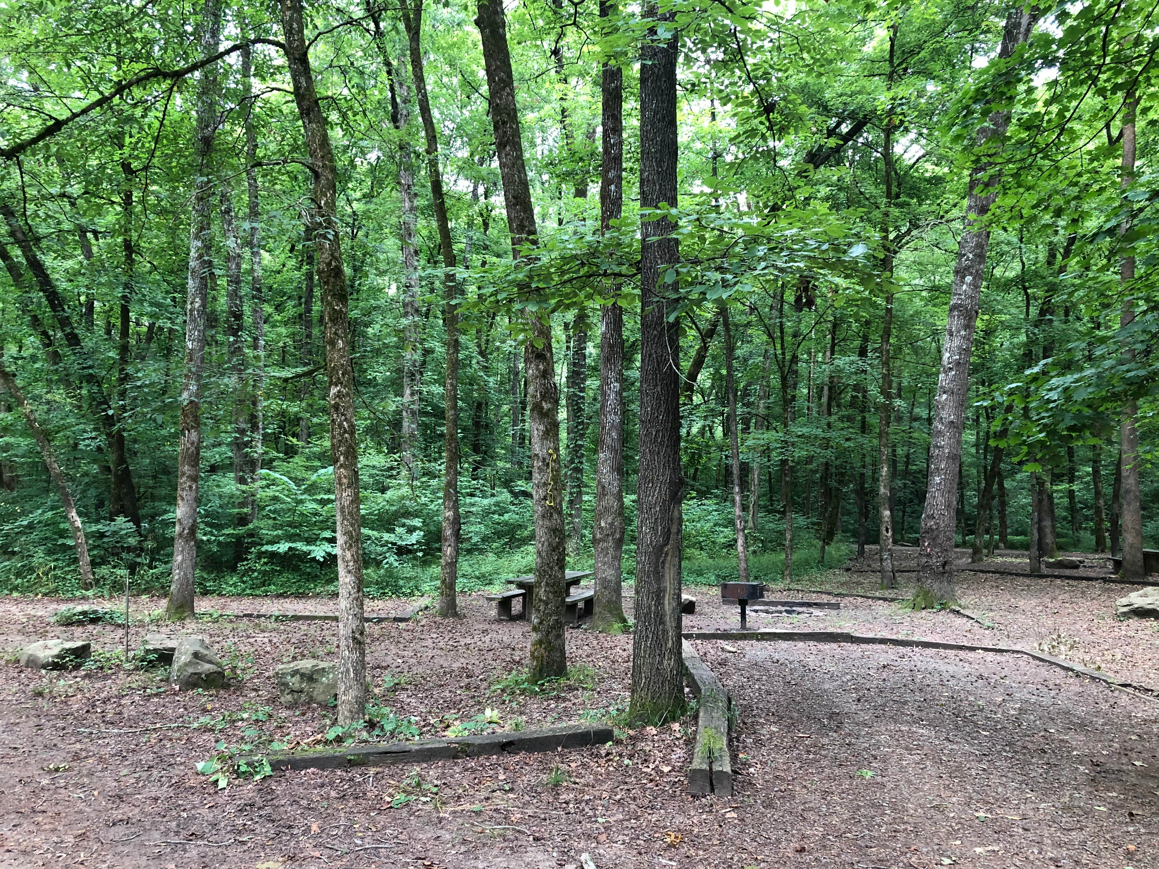 Haw Creek Falls Camping