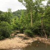 Review photo of Haw Creek Falls Camping by David S., July 18, 2020