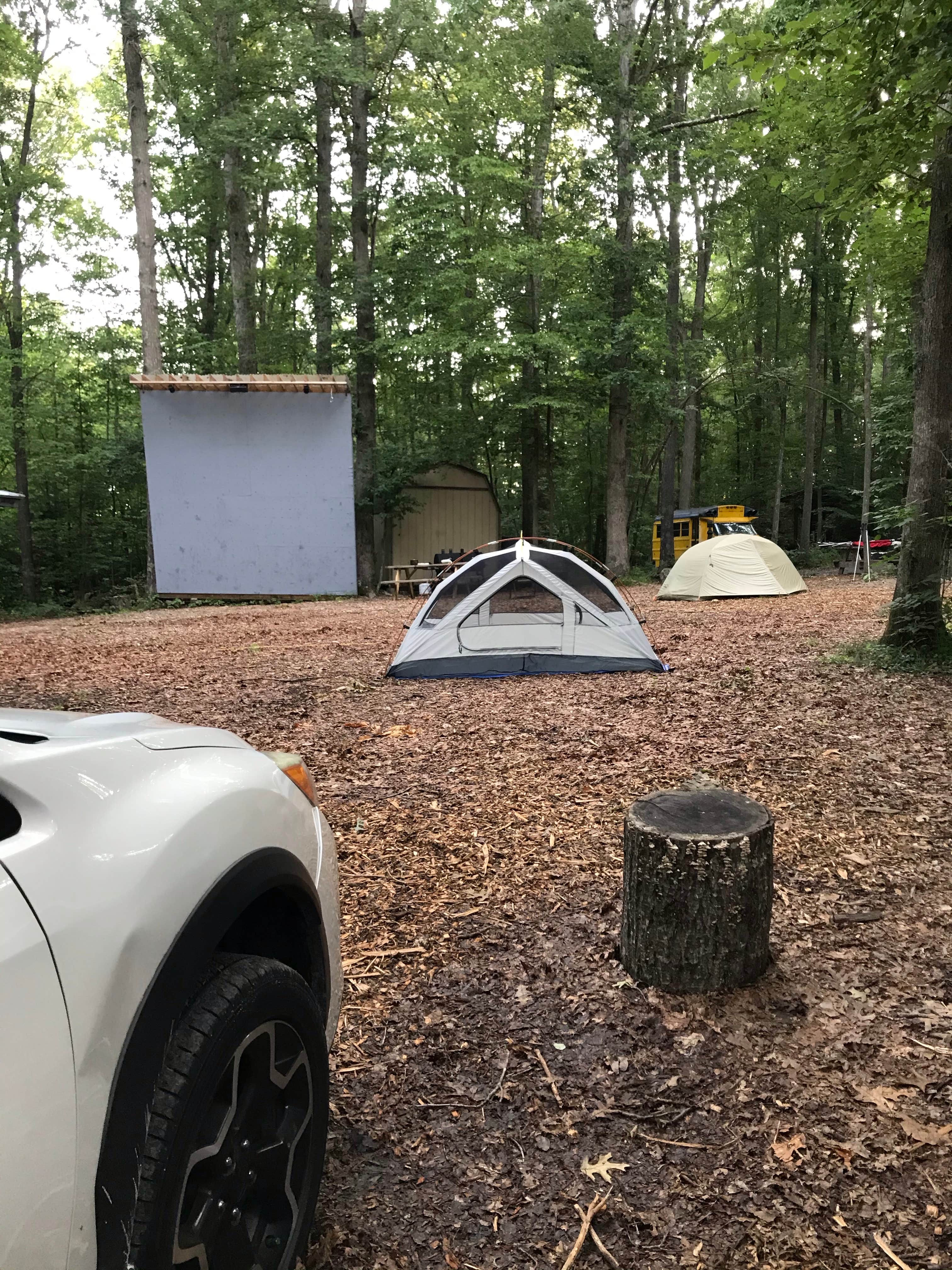 Emily C.'s photo of tent camping at New River Gorge Campground - American Alpine Club near Summersville, WV