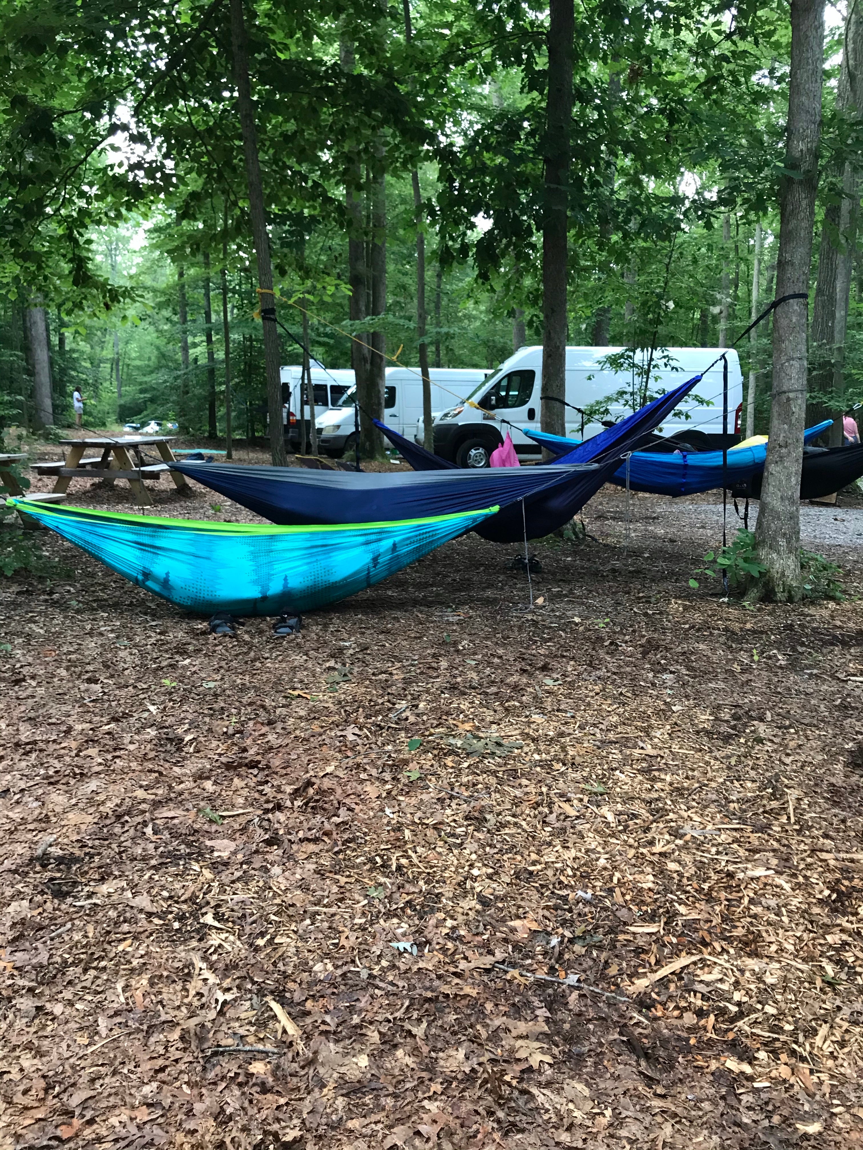 Camper submitted image from New River Gorge Campground - American Alpine Club - 4