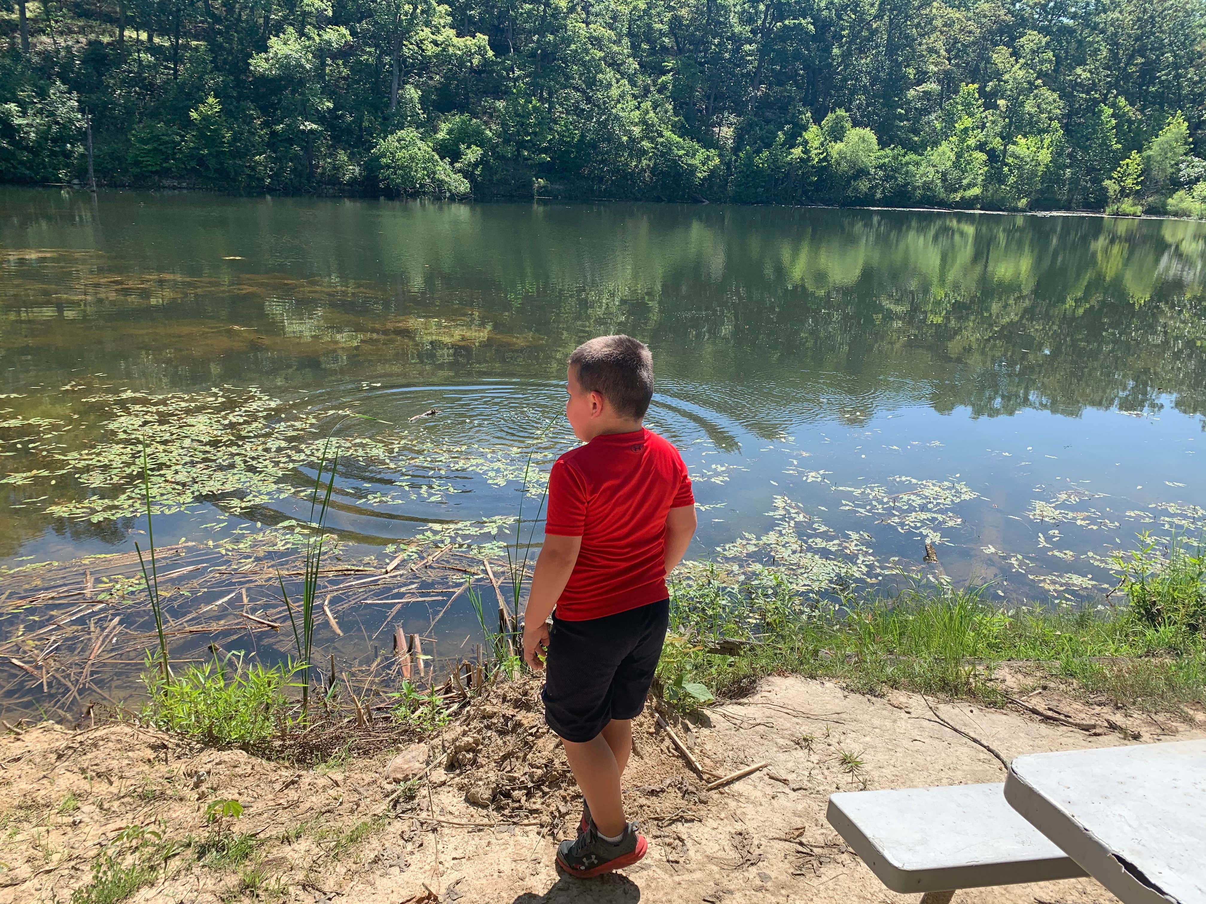 Camper-submitted photo at Lazy Day Campground near Silex, MO