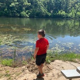 Review photo of Lazy Day Campground by GW C., July 18, 2020